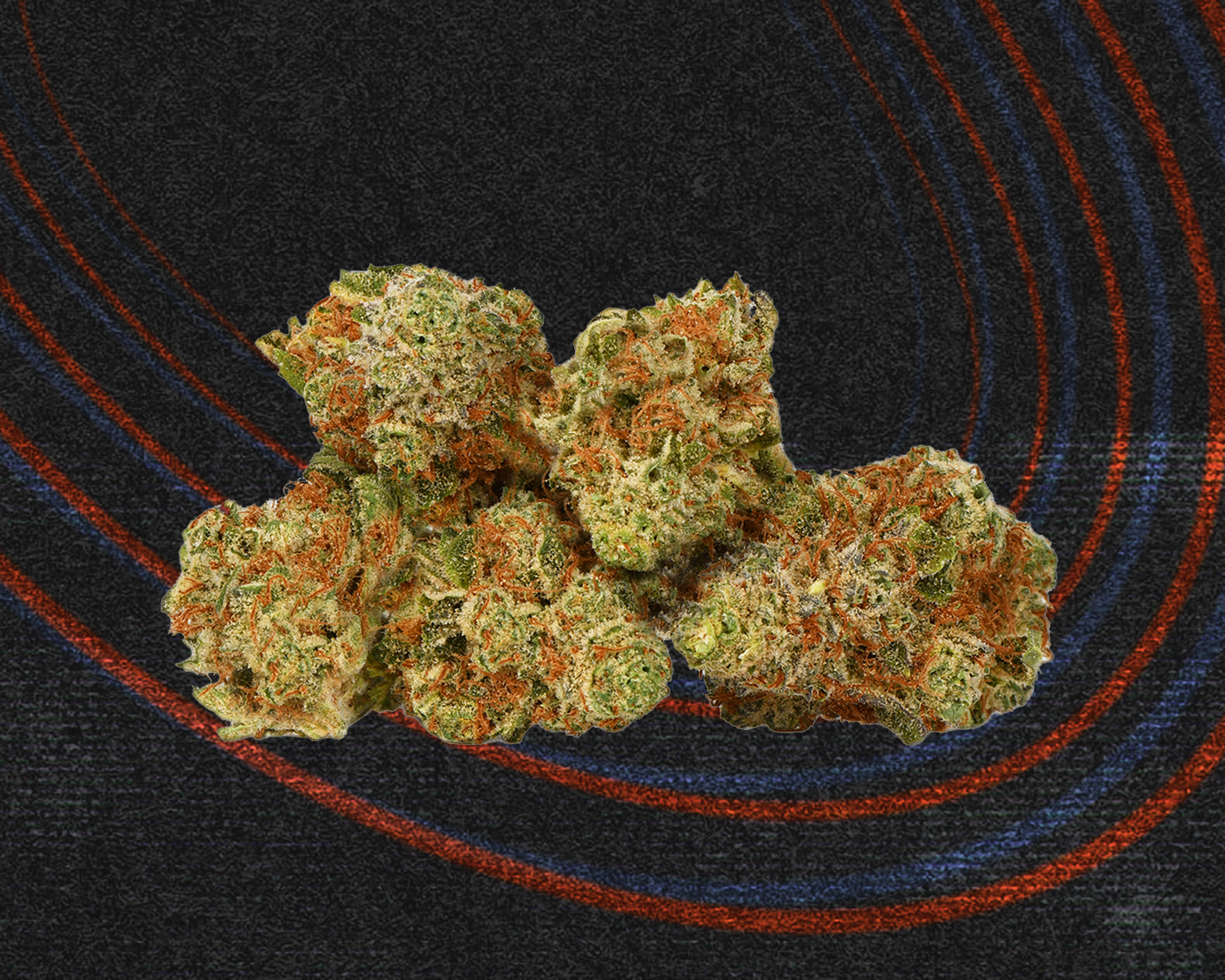 BZAM x Dunn Grateful Breath